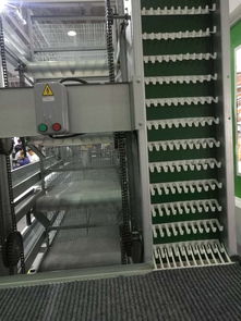 常虹自動化撿蛋機 集蛋器 系統匯總