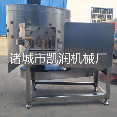雞鴨鵝胗洗油機 雞鴨胗打油機 凱潤去油機